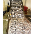 Sardinenmaschine Fischverarbeitungsmaschine Fischkonservenanlage